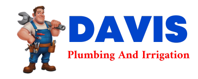 Trusted plumber in DAWN